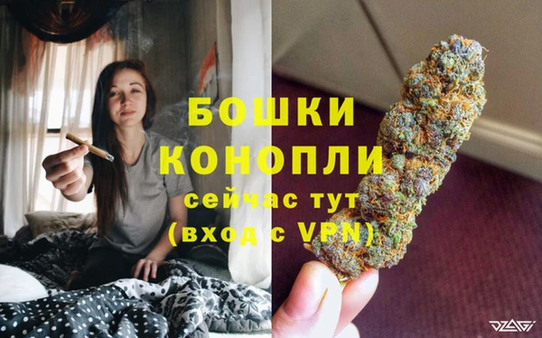 стафф Богородск