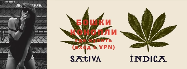 стафф Богородск